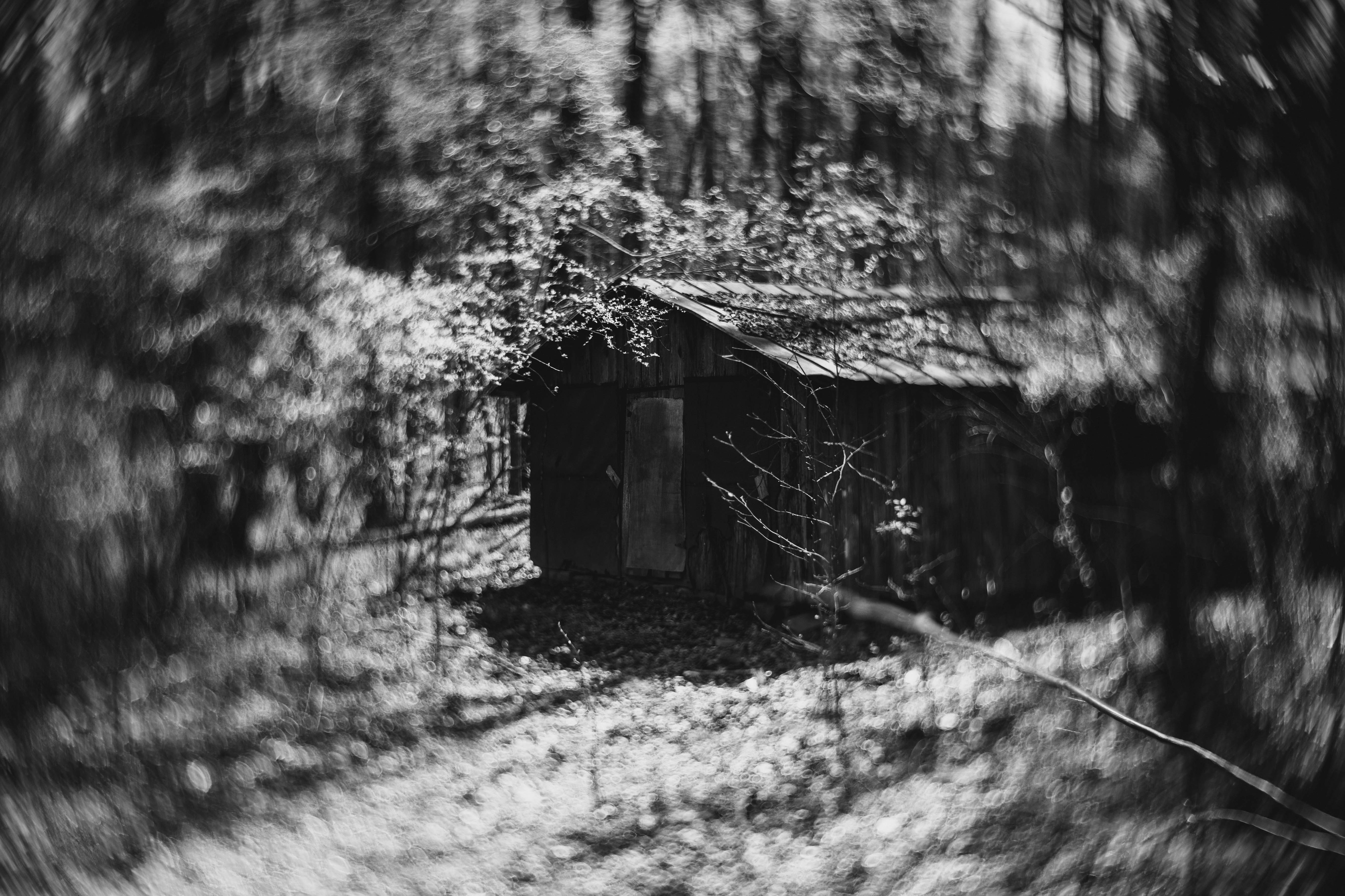 Black and White Hog Barn